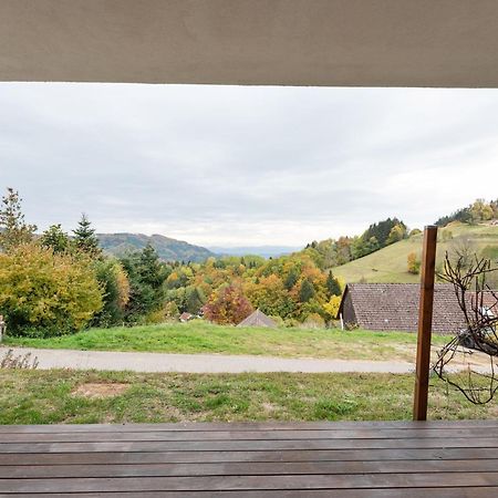 Apartment On The Edge Of The Forest Kleines Wiesental Exteriör bild