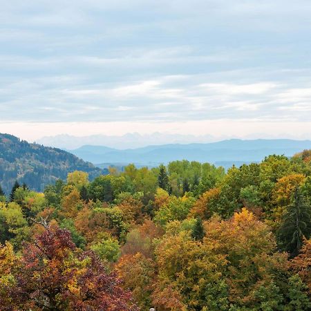 Apartment On The Edge Of The Forest Kleines Wiesental Exteriör bild