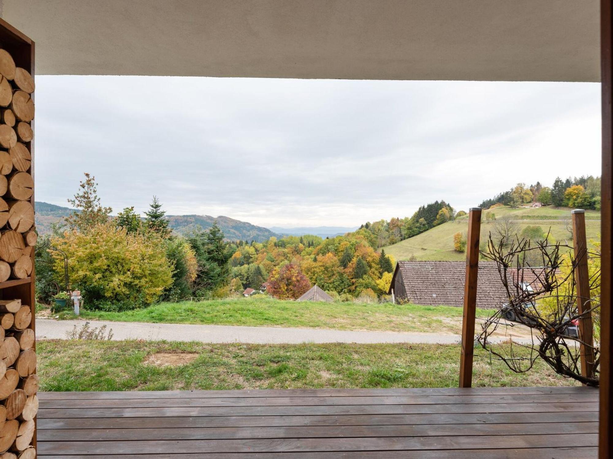 Apartment On The Edge Of The Forest Kleines Wiesental Exteriör bild