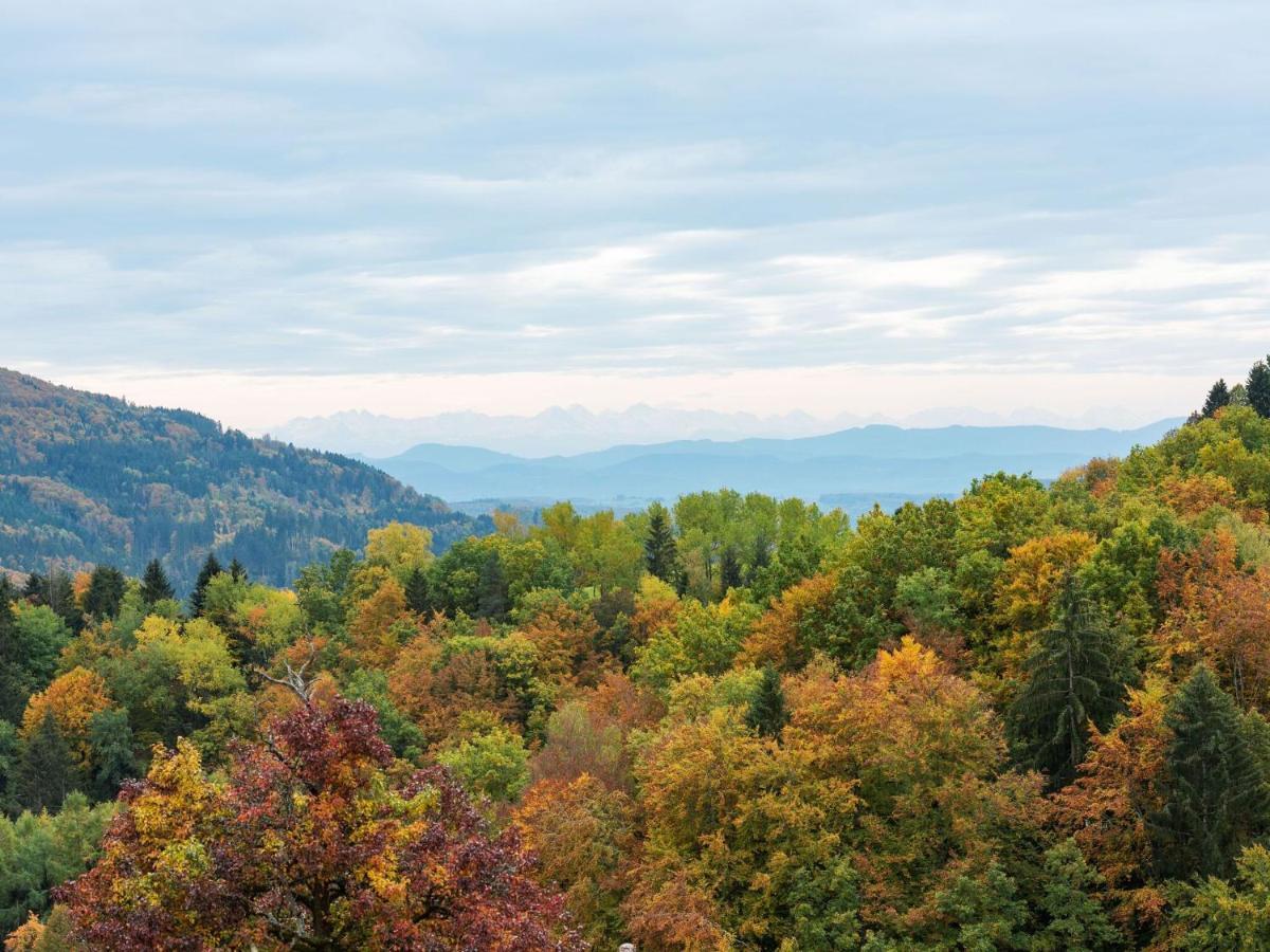 Apartment On The Edge Of The Forest Kleines Wiesental Exteriör bild